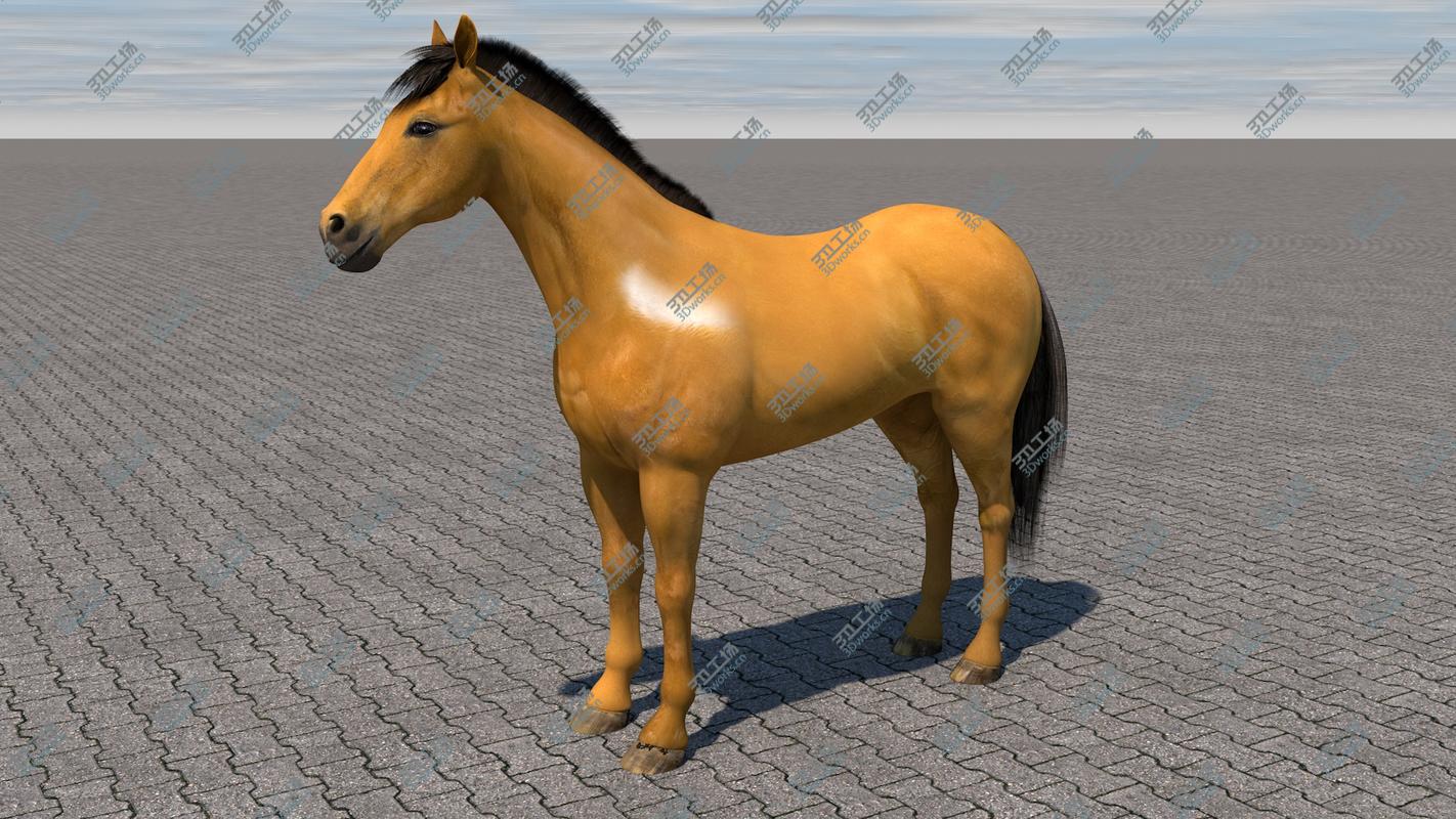 images/goods_img/202105072/3D Horse model/1.jpg